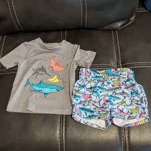 Cat and Jack 9mo boy swim trunks and rashguard